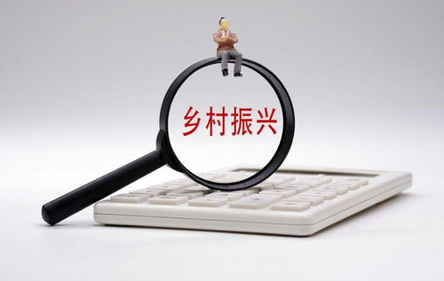 打通金融“最后一公里”，以多元服務(wù)賦能鄉(xiāng)村振興